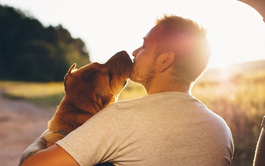 10 Signs Your Dog Loves You