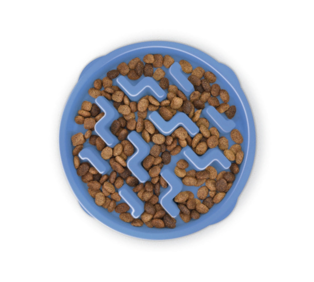 Outward Hound Fun Feeder Slow Food Bowl for Dogs Blue Notch