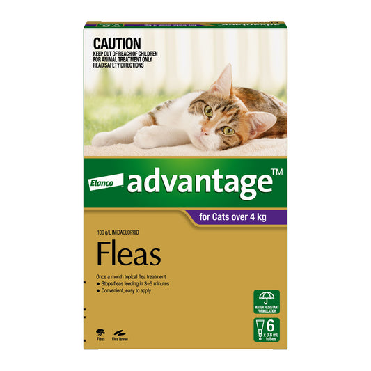 Advantage Spot-On Flea Control for Cats over 4kg - 6-Pack