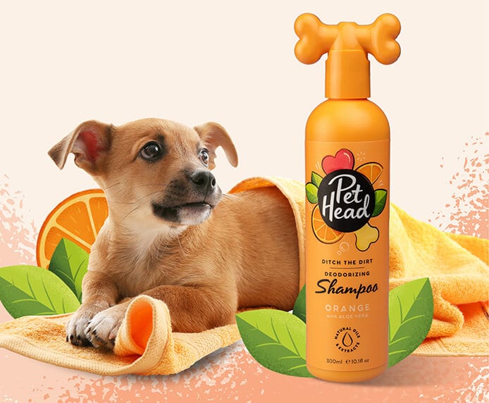 Pet Head Ditch the Dirt Deodorizing Shampoo, Conditioner or Spray