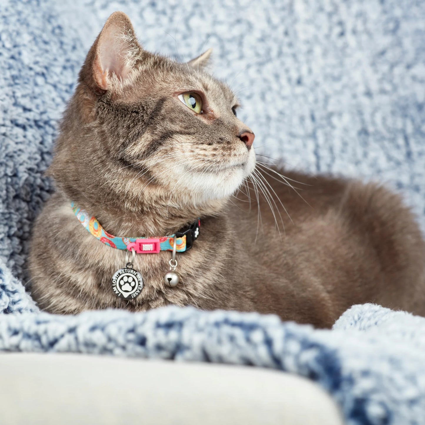 Max & Molly Smart ID Cat Collar - Donuts