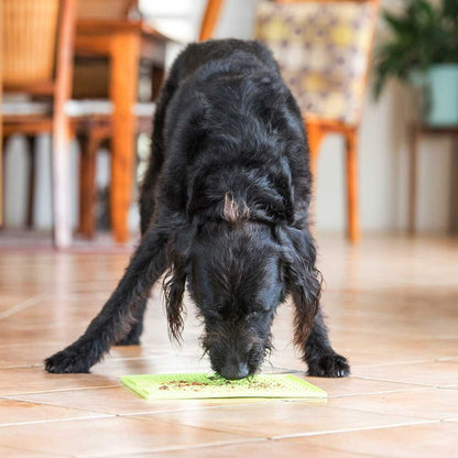 Lickimat Large - Soother - Licking Mat for Cats & Dogs New Style