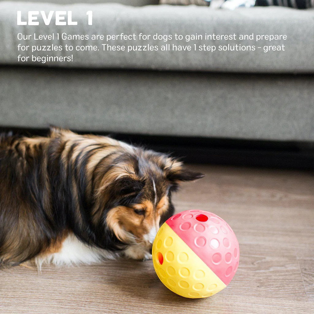 Nina Ottosson Treat Tumble Ball for Cats & Dogs