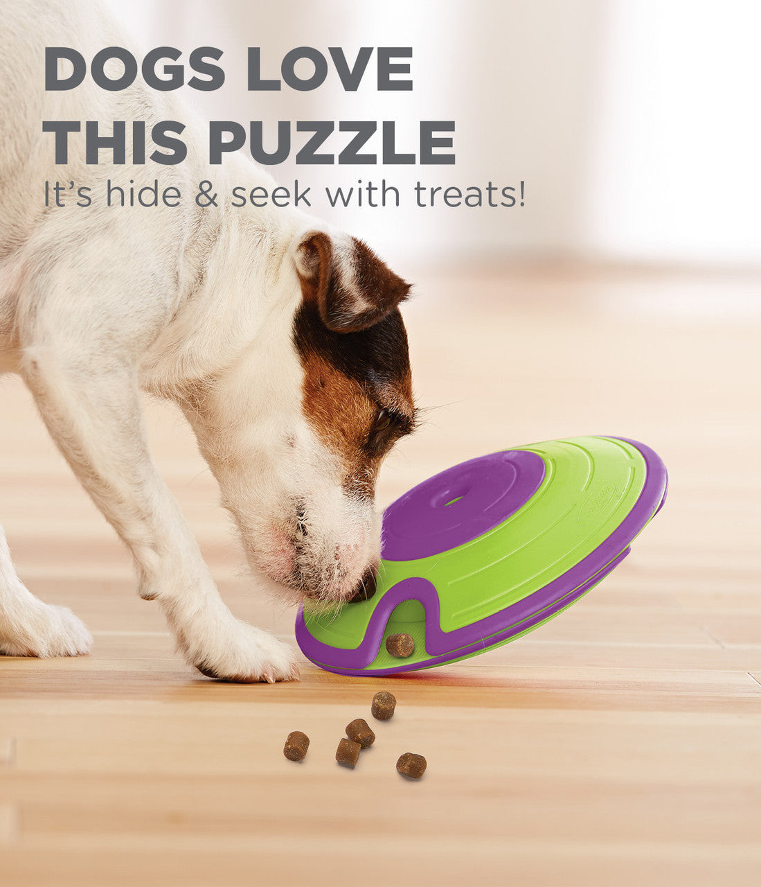 Outward Hound Dog Treat Maze by Nina Ottosson