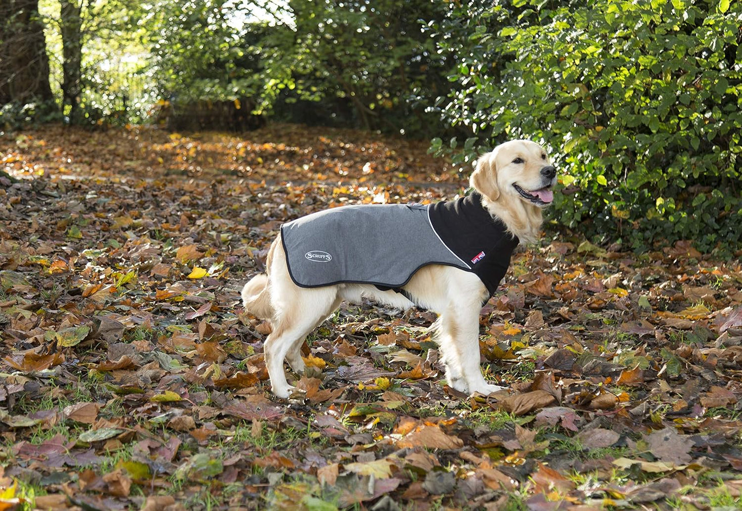 Scruffs Thermal Dog Coat – Cajun Grey