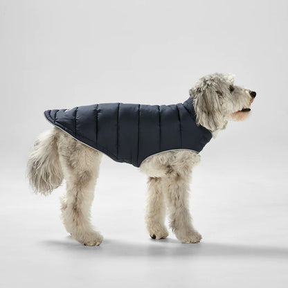 Snooza Wear Dog Puffer Sport Jacket – Black