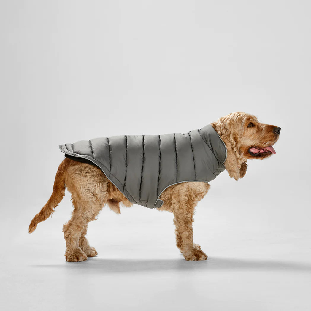 Snooza Wear Dog Puffer Sport Jacket – Graphite