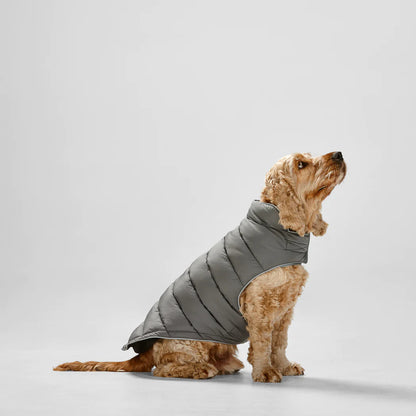 Snooza Wear Dog Puffer Sport Jacket – Graphite