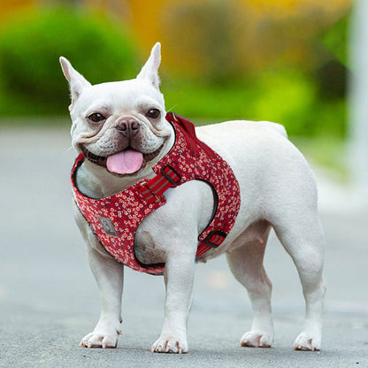 Floral Dog Harness Red M