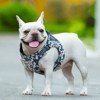 Floral Dog Harness Saxony Blue M