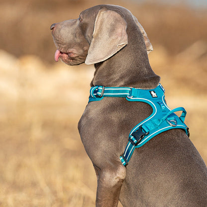 No Pull Dog Harness Blue L