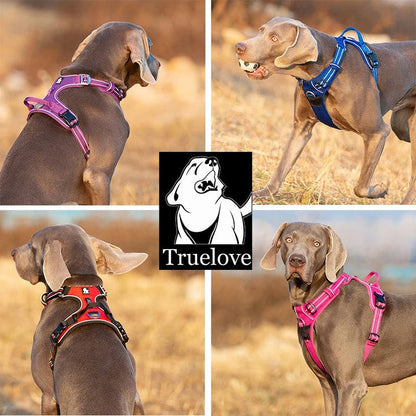 No Pull Dog Harness Purple L