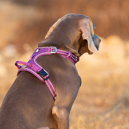 No Pull Dog Harness Purple L