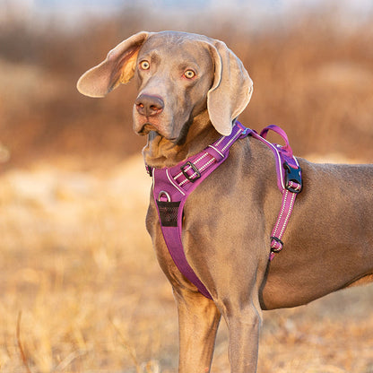 No Pull Dog Harness Purple L