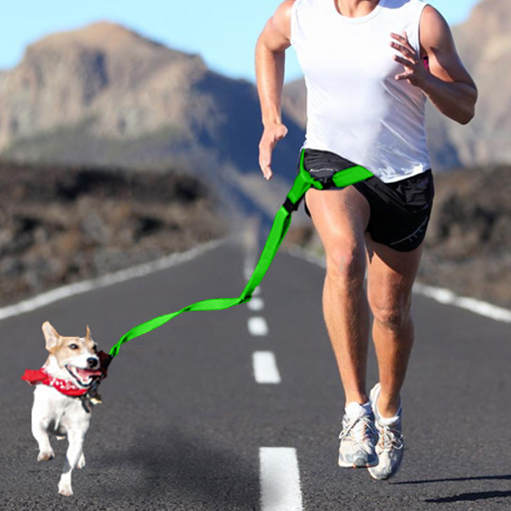 Adjustable Hands Free Dog Leash Waist Belt Green