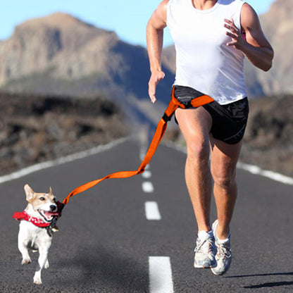 Adjustable Dog Hands Free Leash Waist Belt Buddy Jogging Walking Running Orange